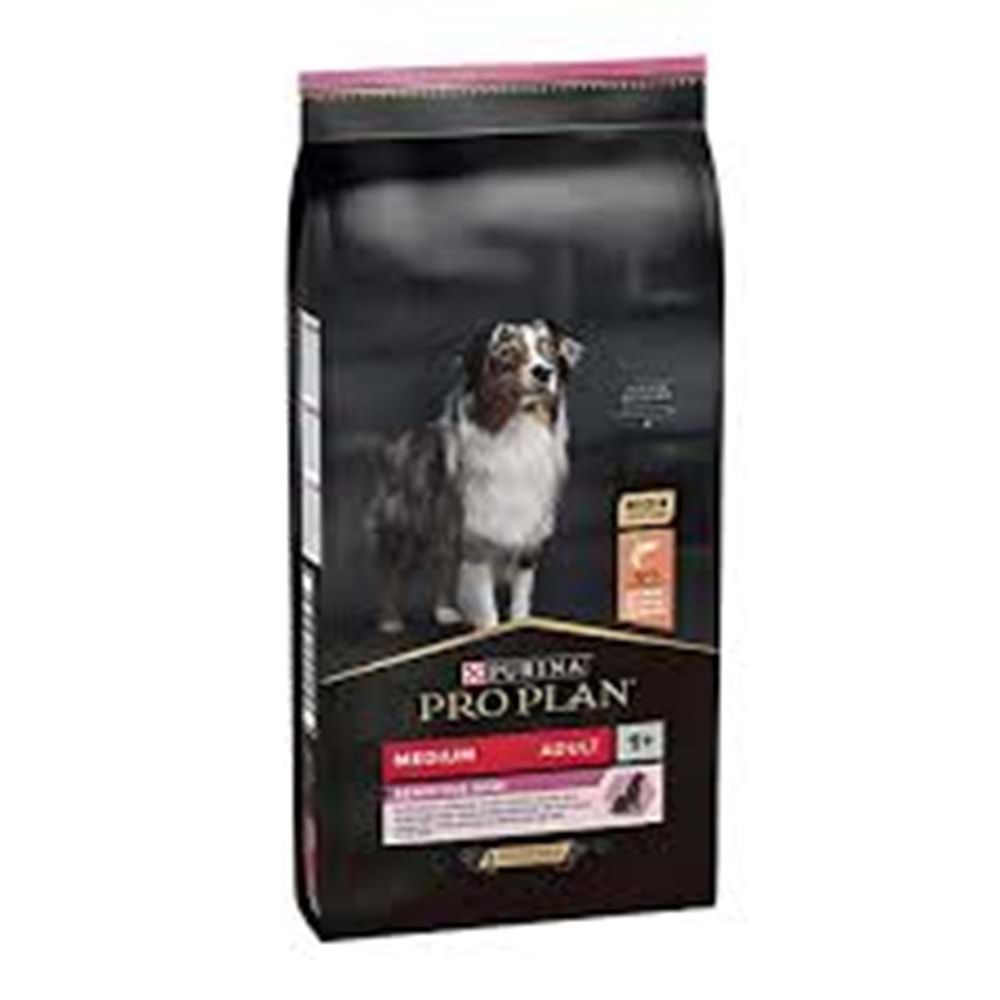 PRO PLAN KÖPEK ADULT SEN.SALMON 10 KG