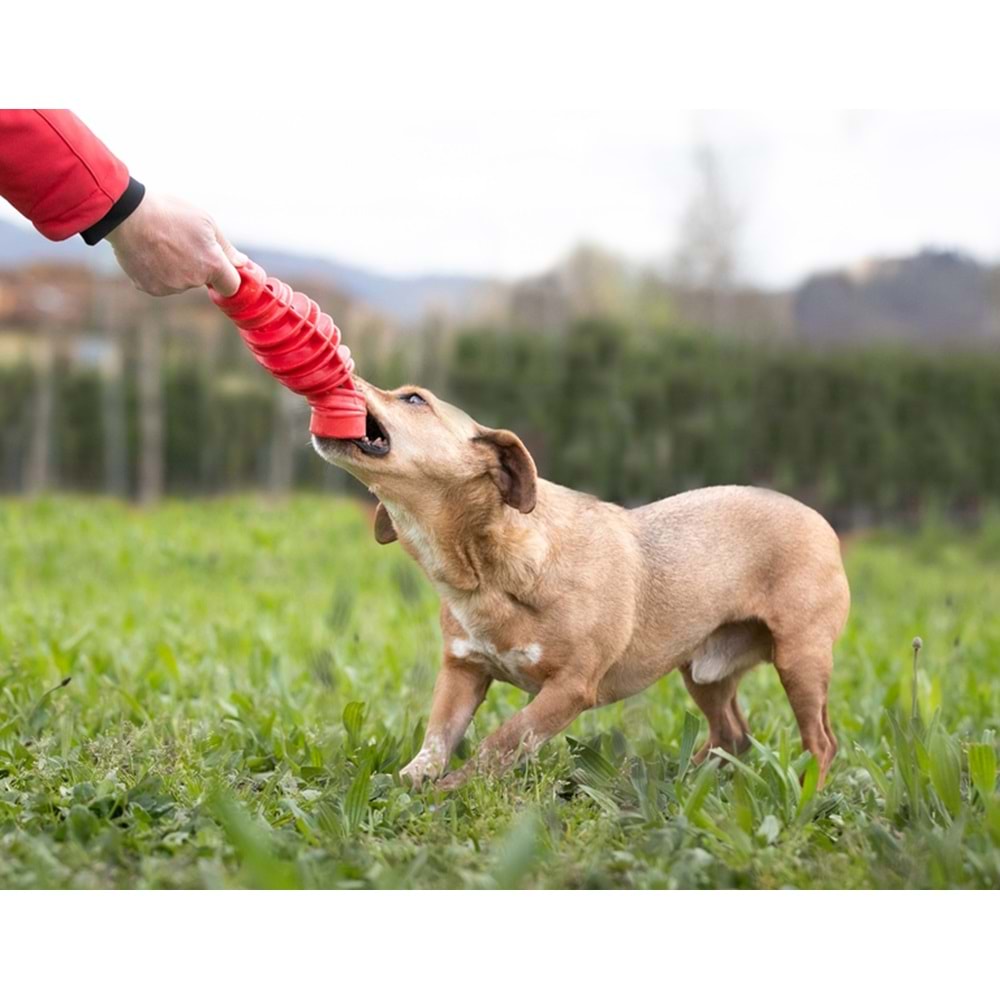 BAMA TIRA&MOLLA KÖPEK OYUNCAĞI