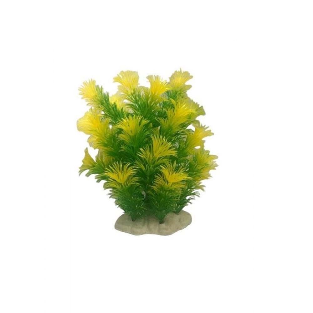 1550 Plastik Bitki Sarı/Yeşil Cobomba 3'lü