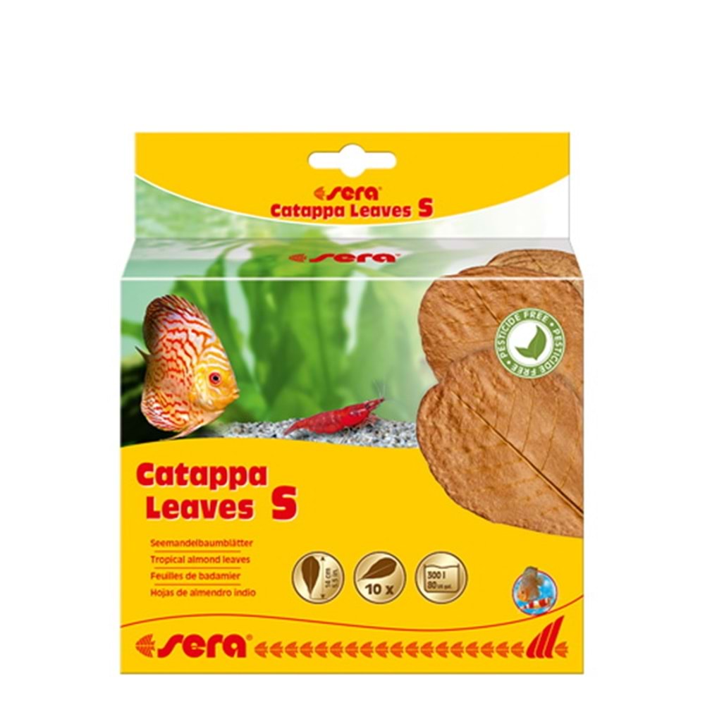 Sera Catappa Yaprağı S 14 Cm (10 Adet)