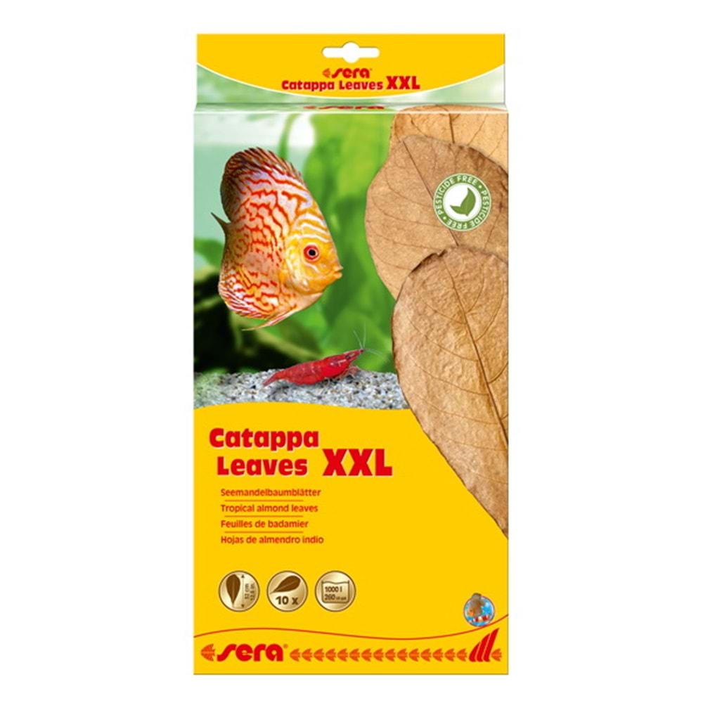 Sera Catappa Yaprağı Xxl 32Cm(10 Adet)