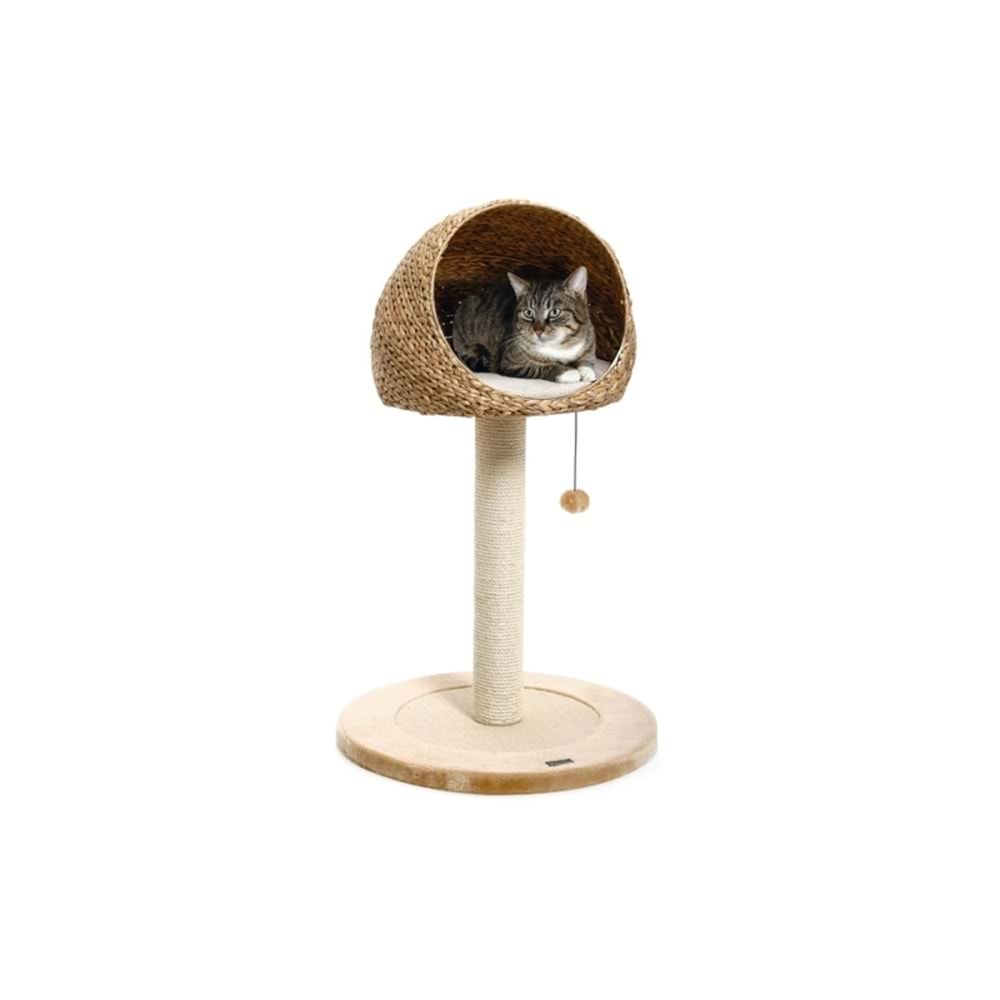KEDİ TIRMALAMA MUZ YAPRAĞI II 56*93 CM