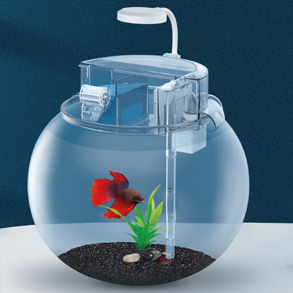 Jeneca YG-36 Fanus Akvaryum Seti 34,5x34,5x31 Cm