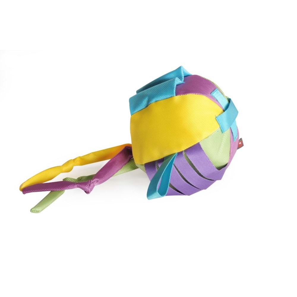 GIOCO Cane 