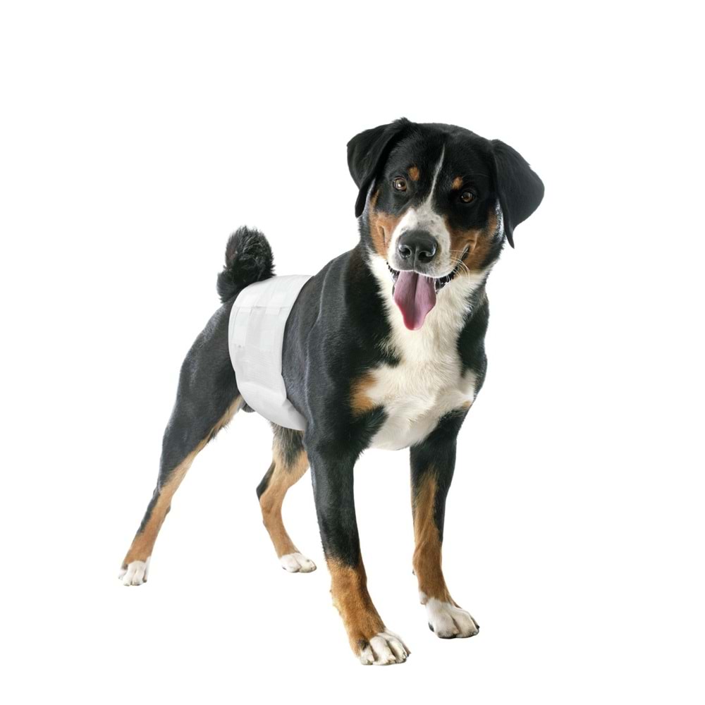 Camon Erkek köpekler için lastikli Bezler L Beden