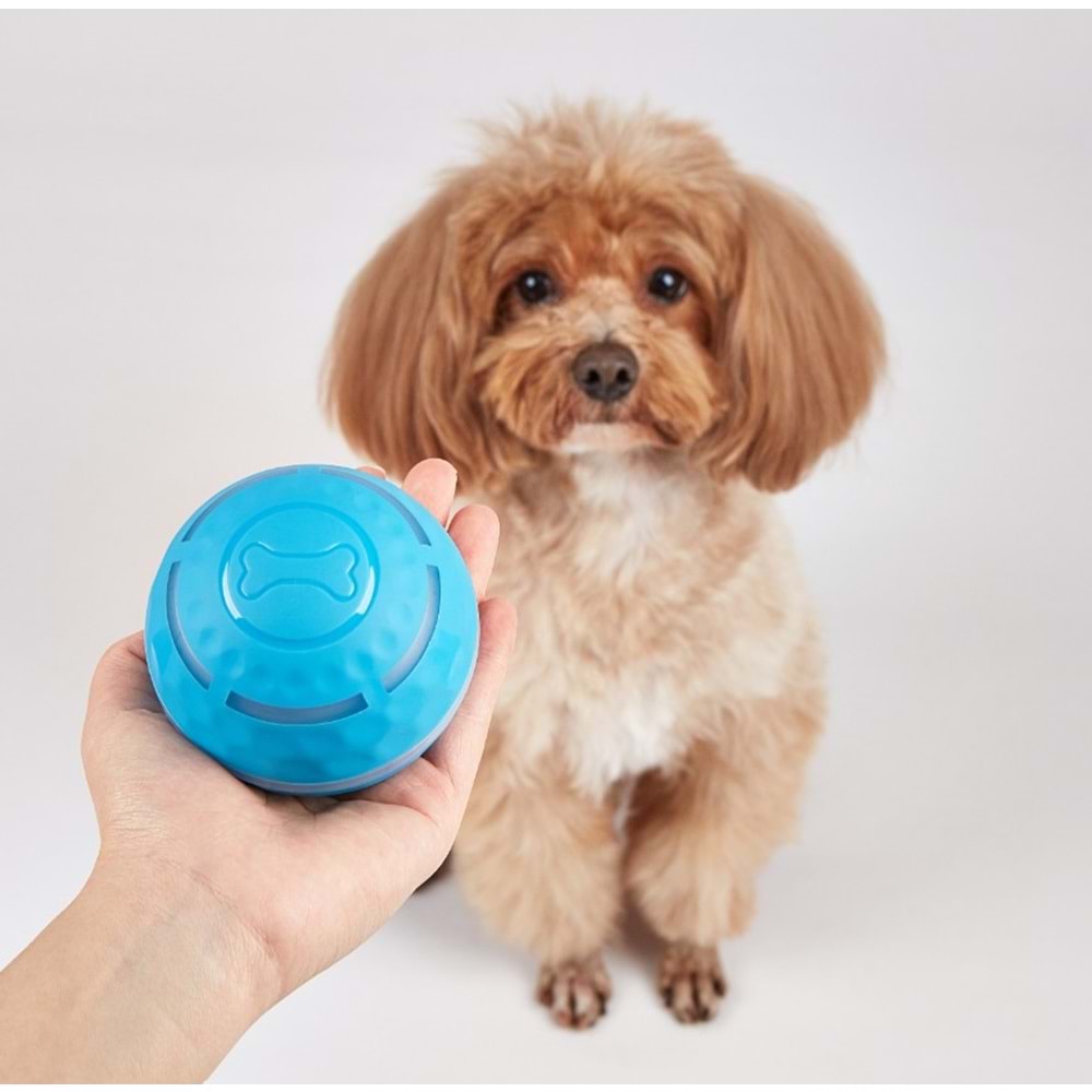 Şarj Edilebilir Köpek Yuvarlama Topu Çap 8.5 Cm