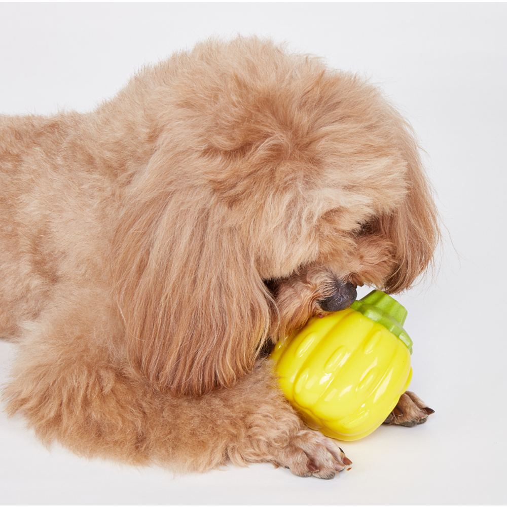 Kıkırdayan Sebzeli Isırıklar Köpek Oyuncağı Balkabağı 9*6.6*9 Cm