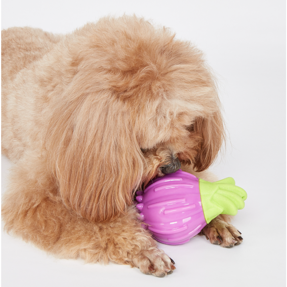 Kıkırdayan Sebzeli Isırıklar Köpek Oyuncak Soğanı