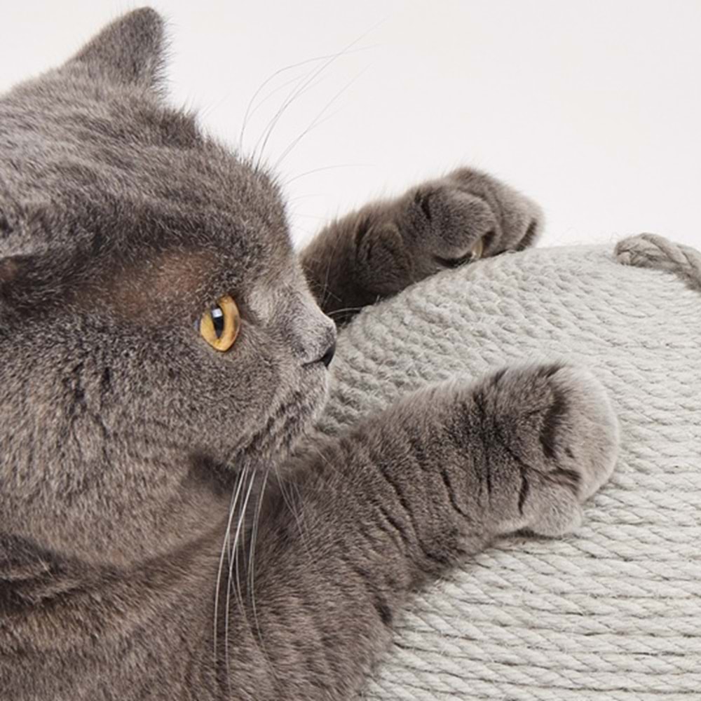 Top Kedi Tırmalama Tahtası 29*29*27cm