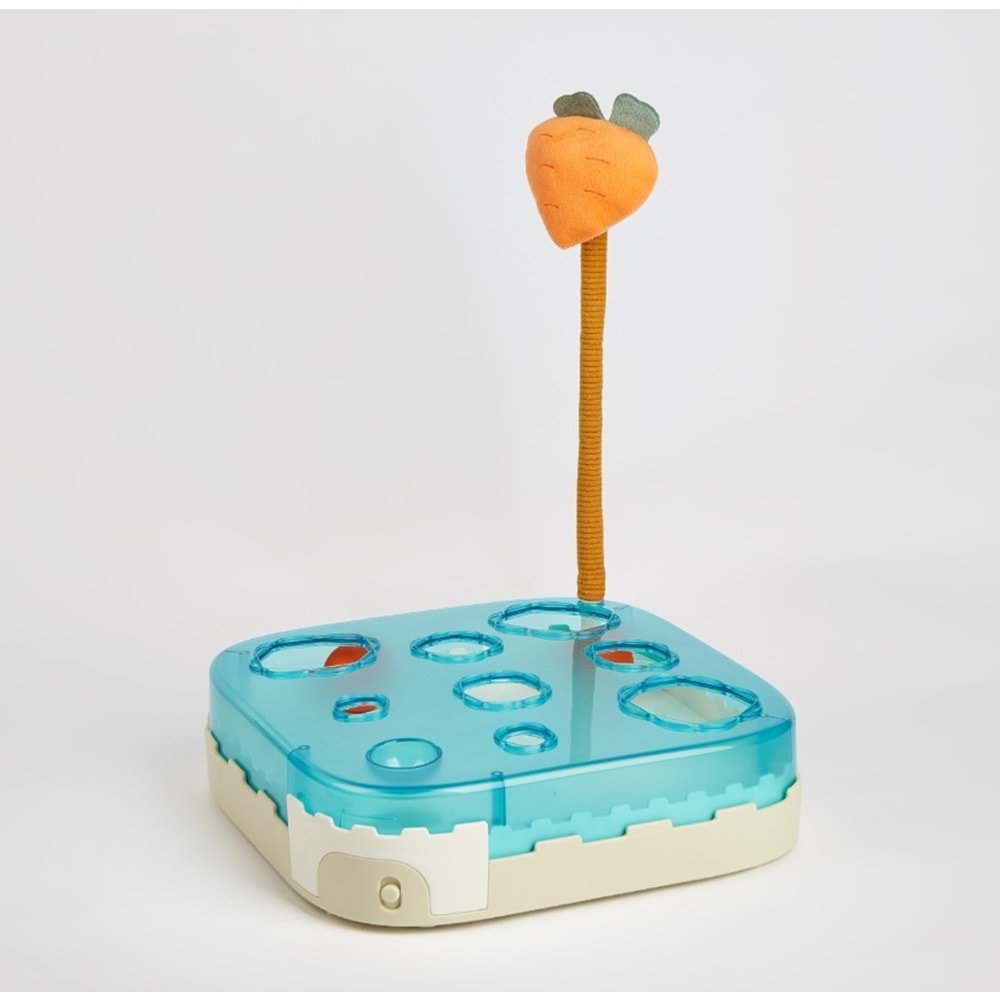 Interactive Top Kutusu