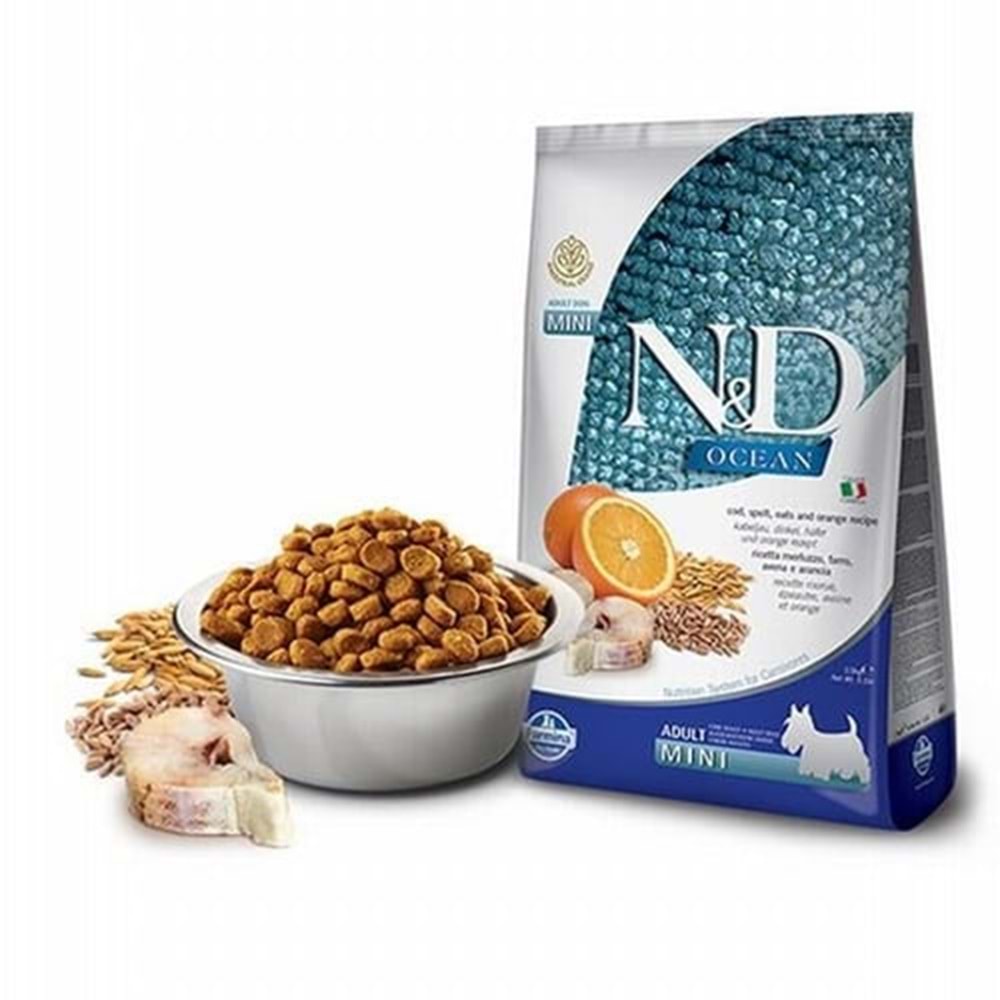 PND0150037 - OCEAN AG MORİNA PORTAKAL ADULT