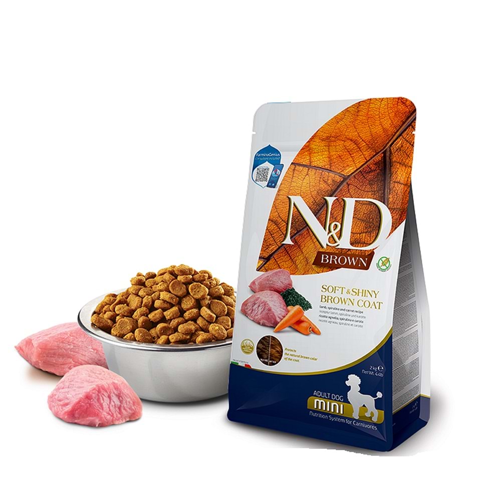 BROWN DOG LAMB, SPIRULINA& CARROT ADULT MINI 2