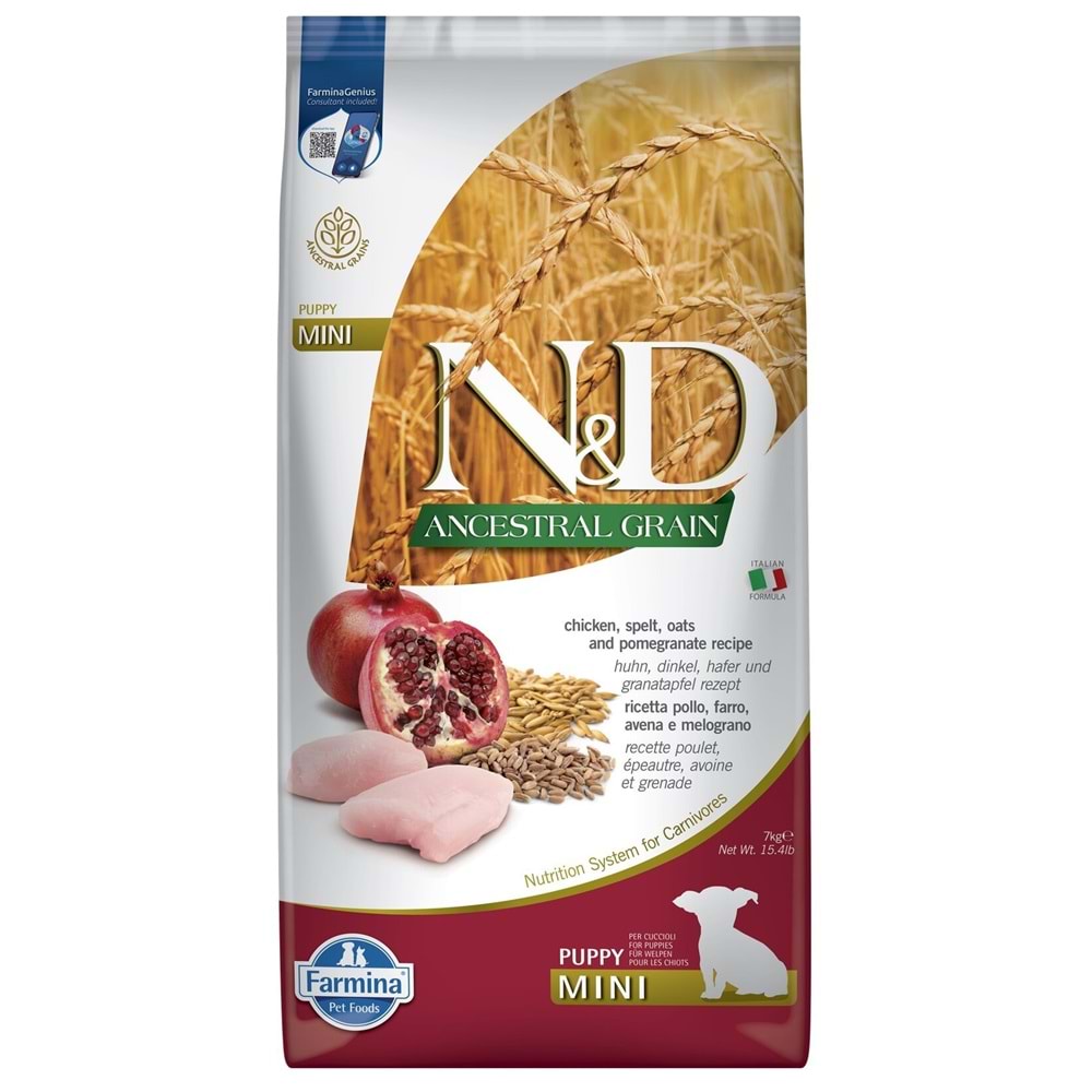 PND0250079 - A.GRAIN KUZU Y.MERSİN PUPPY MINI