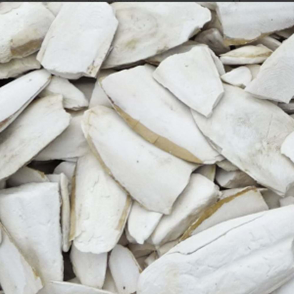 KIRIKLI KALAMAR KEMİĞİ 10 KG