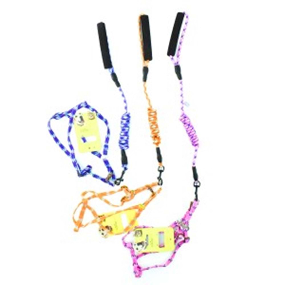 20-30-10 CADO PET FİTİL BEL TASMA TAKIM 1,5 CM (12)