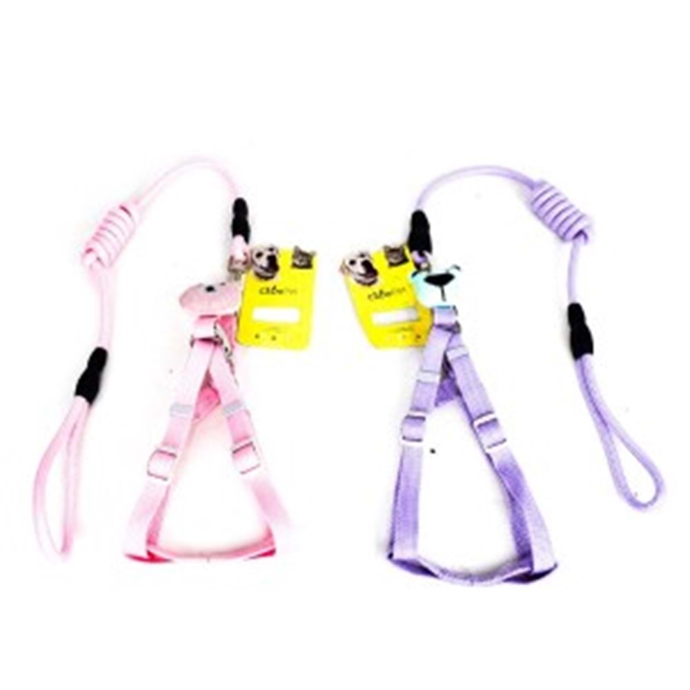 21-1-32 CADOPET 6 MM FİTİL GEZDİRMELİ AKSESUARLI BEL TASMA TAKIM (12)