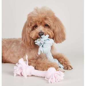 Oyuncak Kutusu Köpek Havlu İpi 2 Düğüm Kutu İçi 16 Lı