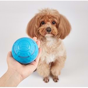 Şarj Edilebilir Köpek Yuvarlama Topu Çap 8.5 Cm