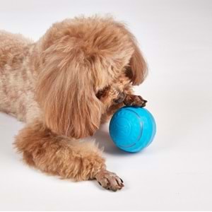 Şarj Edilebilir Köpek Yuvarlama Topu Çap 8.5 Cm
