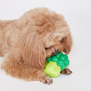 Kıkırdayan Sebzeli Isırıklar Köpek Oyuncağı Brokoli 9.3*6.4*10.4