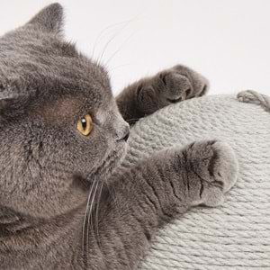 Top Kedi Tırmalama Tahtası 29*29*27cm