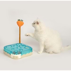 Interactive Top Kutusu