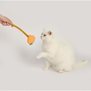 Interactive Top Kutusu