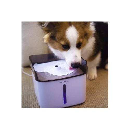 ACLIUM KÖPEK SU SEBİLİ