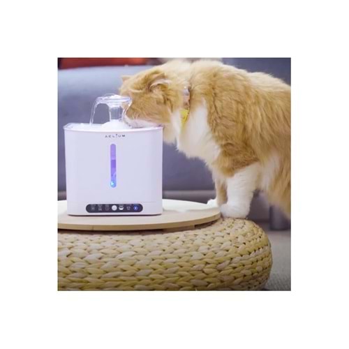 ACLIUM SENSÖRLÜ KEDİ SU SEBİLİ
