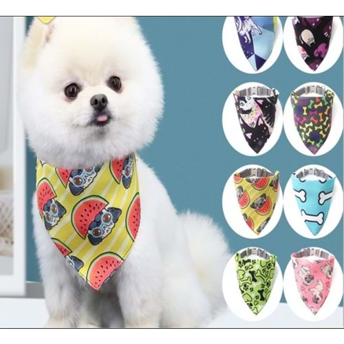 Maxı Life Fularlı Boyun Tasması Small