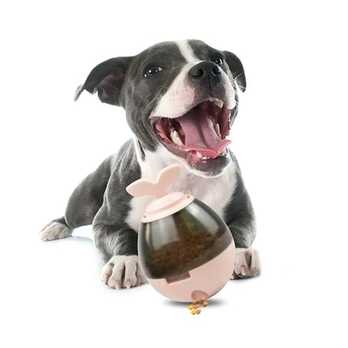 NUNBELL PUPPY EGİTİM OYUNCAGI