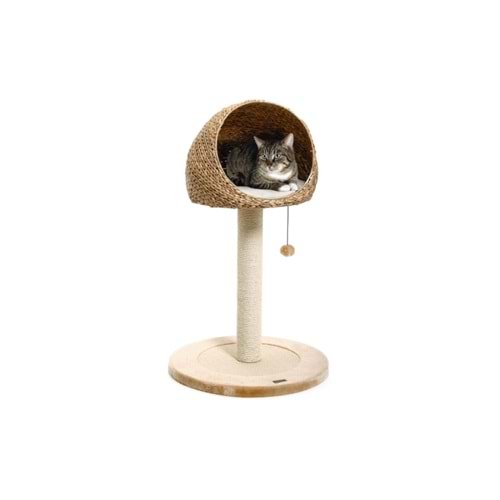 KEDİ TIRMALAMA MUZ YAPRAĞI II 56*93 CM