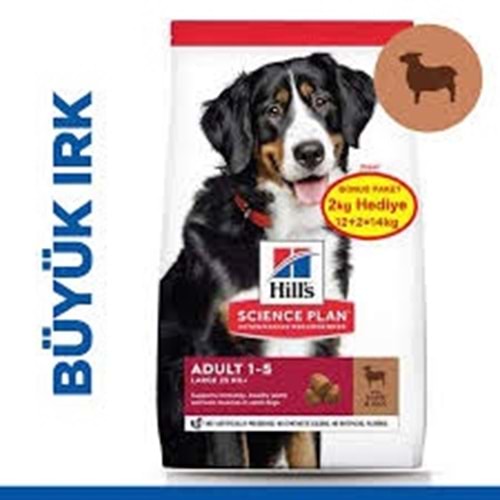 Hill's SP Kuzulu ve Pirinçli Büyük Irk Yetişkin Köpek Maması 12+2KG