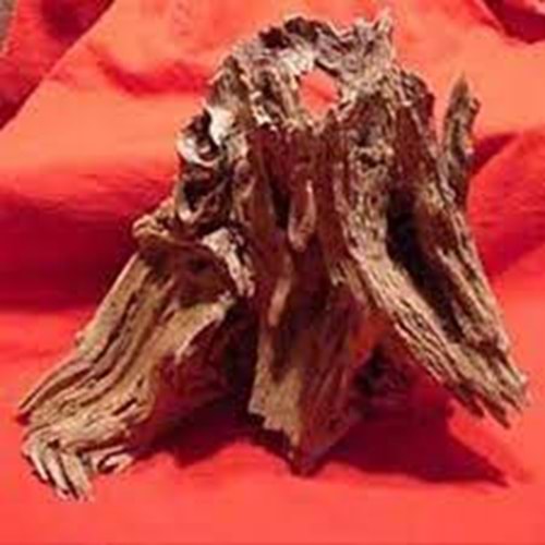 EuroStar Mangrove Akvaryum Kütüğü SM (35 Ad.)