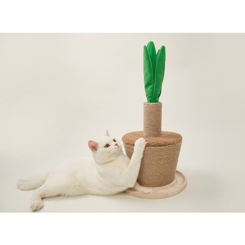 Playtime Saksı Bitkisi Kedi Tırmalama Tahtası 63*30 cm