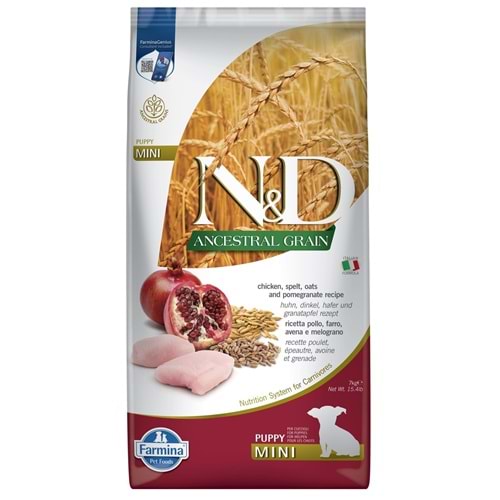 PND0250079 - A.GRAIN KUZU Y.MERSİN PUPPY MINI