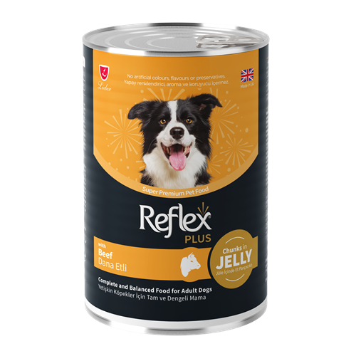 REFLEX PLUS JÖLE İÇİNDE ET PARÇACIKLI DANA ETLİ YETİŞKİN KÖPEK MAMASI 400 G