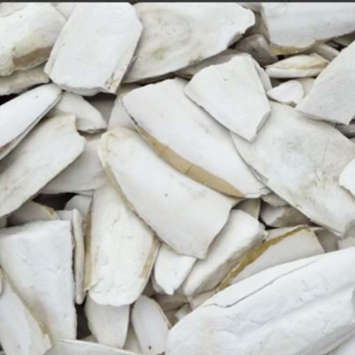 KIRIKLI KALAMAR KEMİĞİ 10 KG