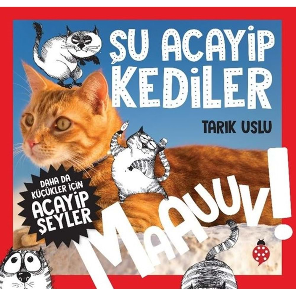 ŞU ACAYİP KEDİLER-TARIK USLU-UĞURBÖCEĞİ