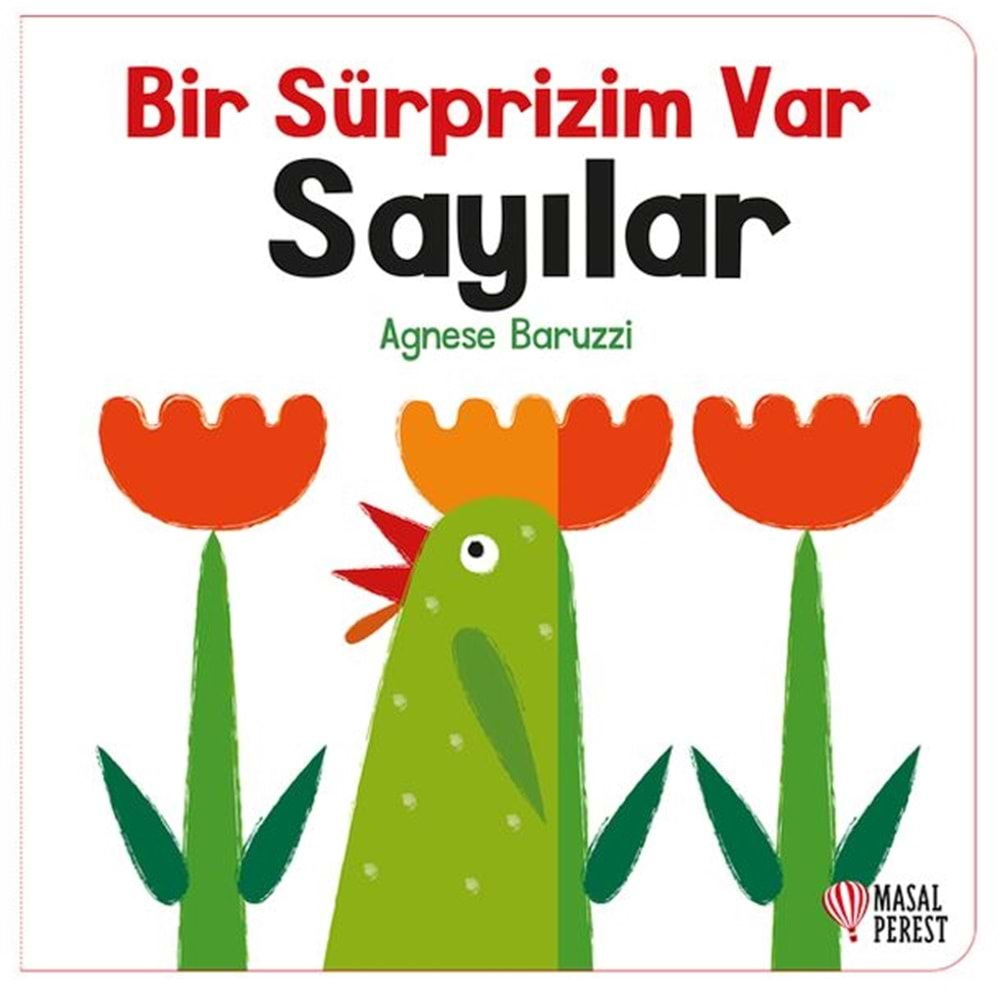 BİR SÜPRİZİM VAR - SAYILAR - AGNESE BARUZZİ - MASALPEREST