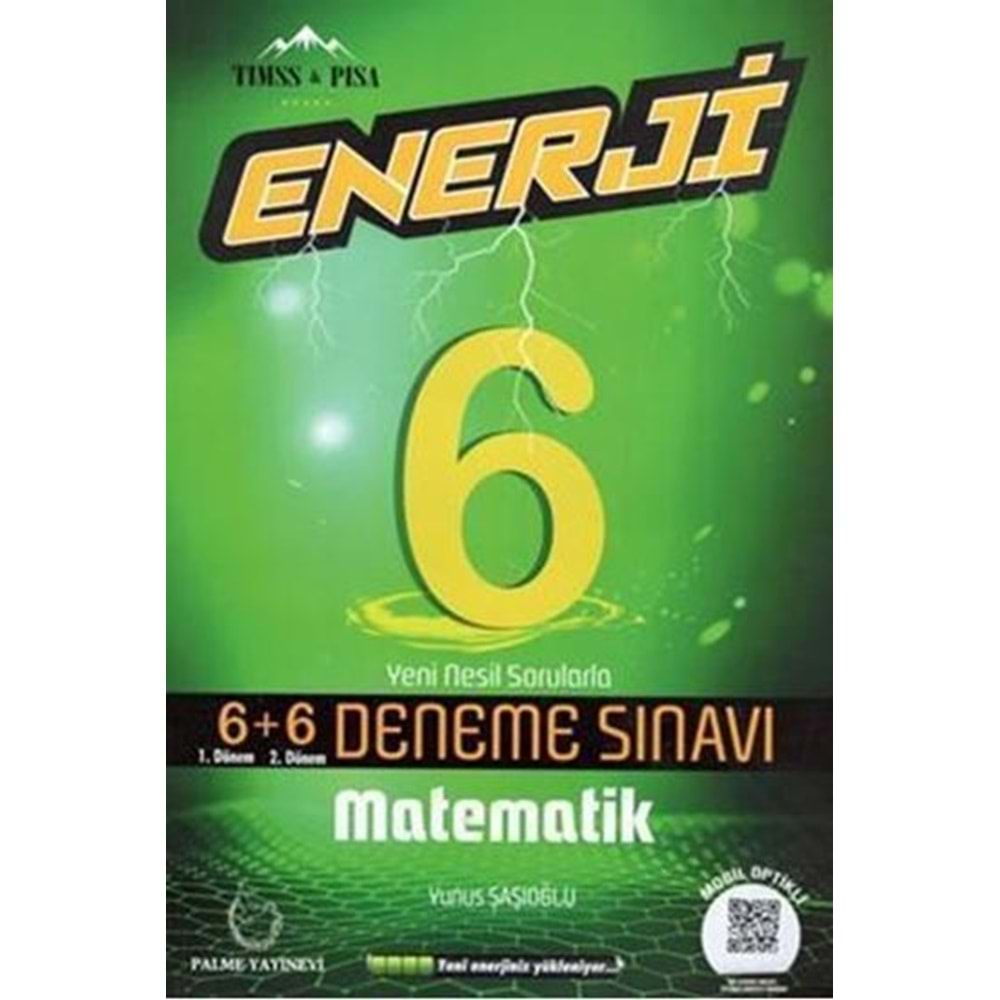 PALME 6.SINIF ENERJİ 6+6 MATEMATİK DENEME SINAVI