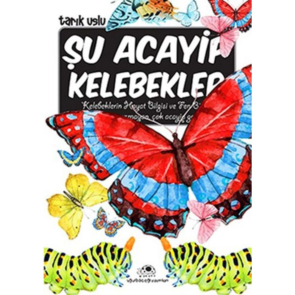 ŞU ACAYİP KELEBEKLER - UĞURBÖCEĞİ