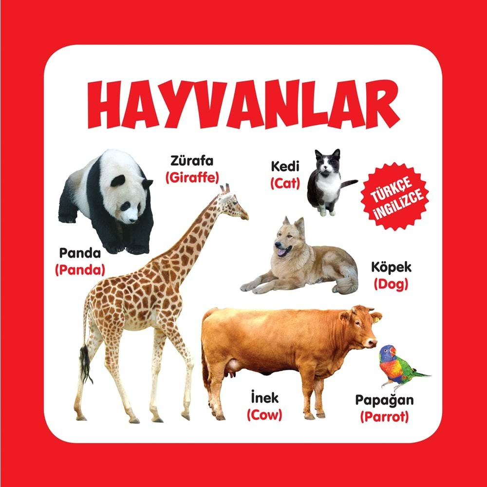 HAYVANLAR TÜRKÇE-İNGİLİZCE KARTON KİTAPLAR - PARILTI YAYINLARI