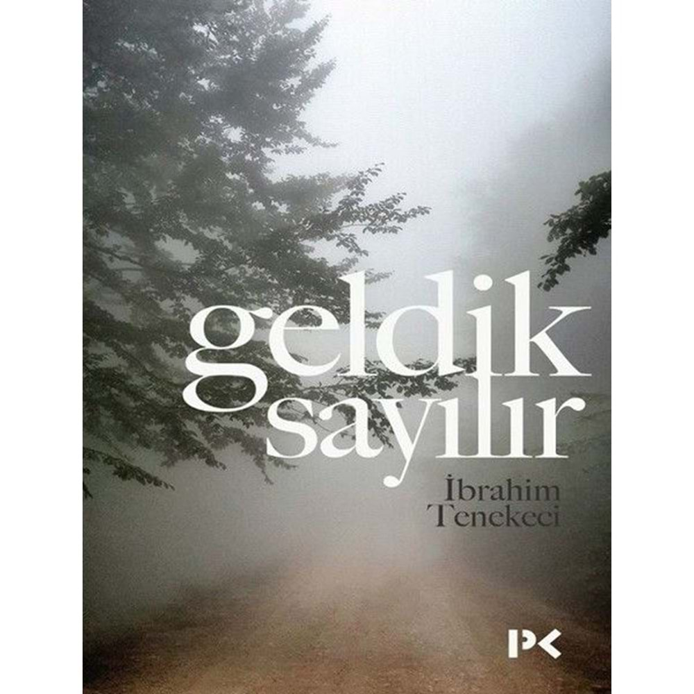 GELDİK SAYILIR-İBRAHİM TENEKECİ-PROFİL