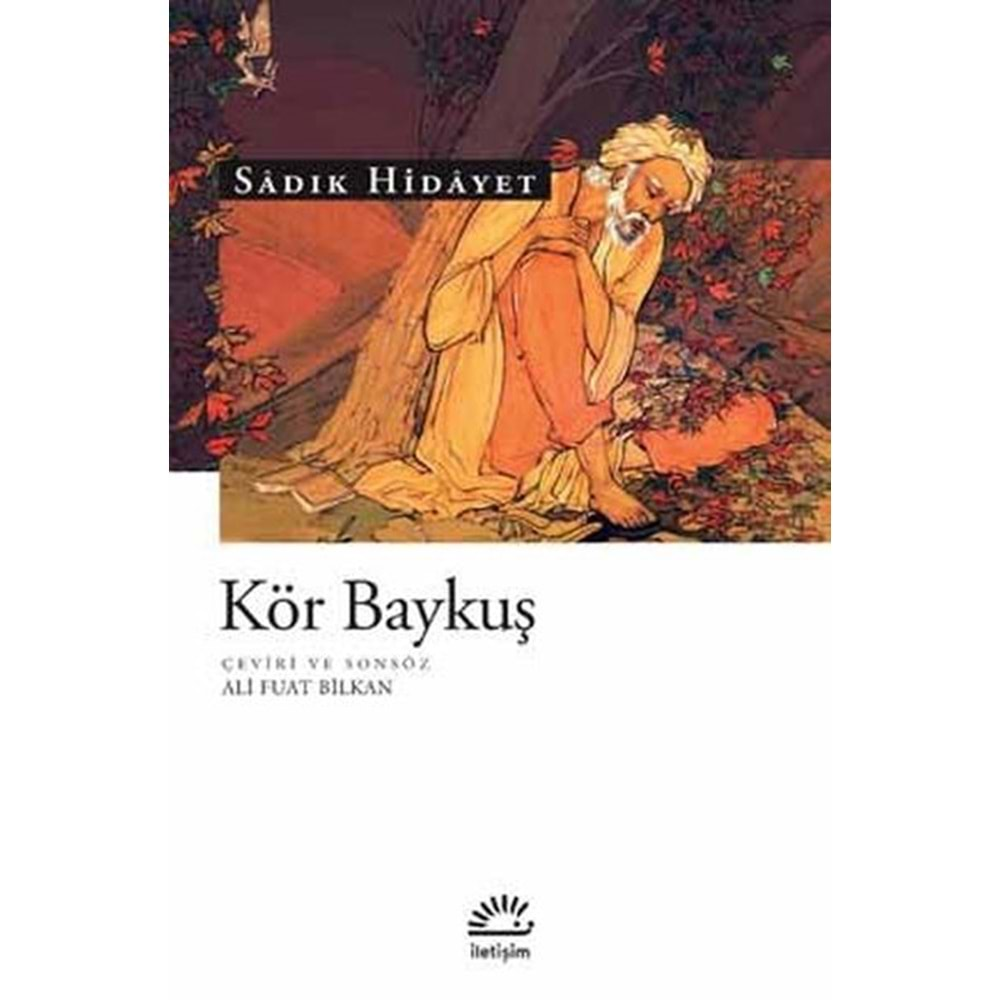 KÖR BAYKUŞ-SADIK HİDAYET-İLETİŞİM