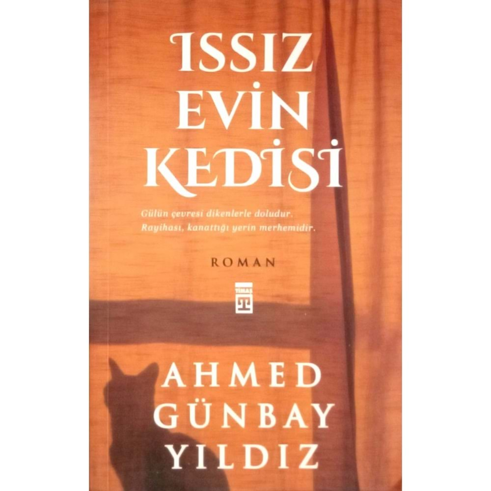 ISSIZ EVİN KEDİSİ-AHMED GÜNBAY YILDIZ-TİMAŞ