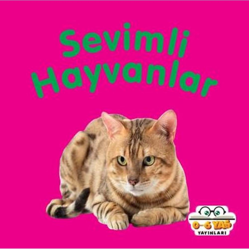 SEVİMLİ HAYVANLAR MİNİ KARTON KİTAPLAR-0-6 YAŞ YAYINLARI