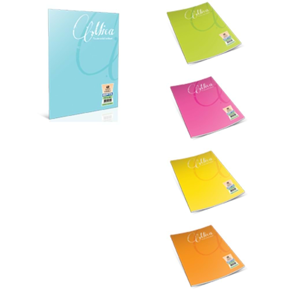 GIPTA MİCA A4 PP KAPAK 60 YP KARELİ DEFTER 1705