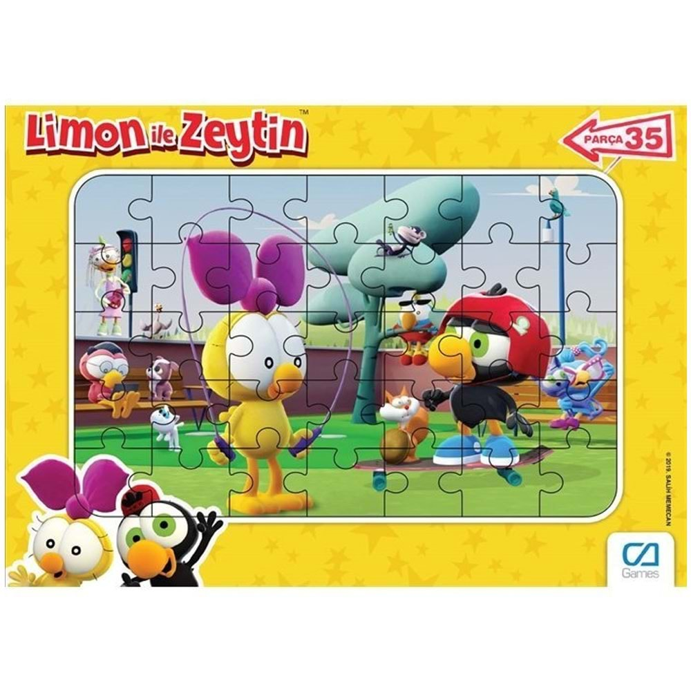 CA GAMES DISPLAY FRAME PUZZLE 35 PARÇA