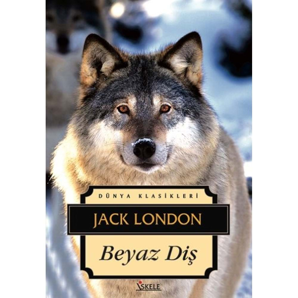 BEYAZ DİŞ JACK LONDON İSKELE YAYINCILIK